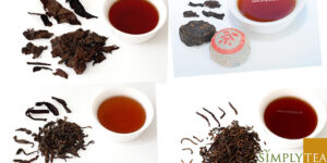 Puerh Te Explorer sæt